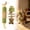 F, variant on Runkheen Cat Dental Care Chew Toy, Natural Silvervine Catnip Wooden Fish Bone Teeth Cleaning Sticks