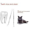 thumbnail image 4 of Herramientas dentales profesionales, raspador dental para perros, 4 of 5
