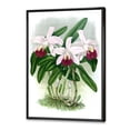thumbnail image 3 of Designart 'White Vintage Orchid Flower I' Traditional Framed Canvas Wall Art Print, 3 of 5