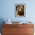thumbnail image 5 of Brown Bear CloseUp Shot, Animals Figurative Scenic Framed Art Print Wall Art by NejroN Photo Sold by Art.Com, 5 of 6