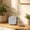 Gray, variant on NWOKYZGH Silicone Headphone Organizer, Data Cable Storage Case, Mini Key Box, Portable Wired Headset Storage Bag