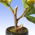 thumbnail image 4 of 9.5 in. Yellow Peony Flower, 4 of 4