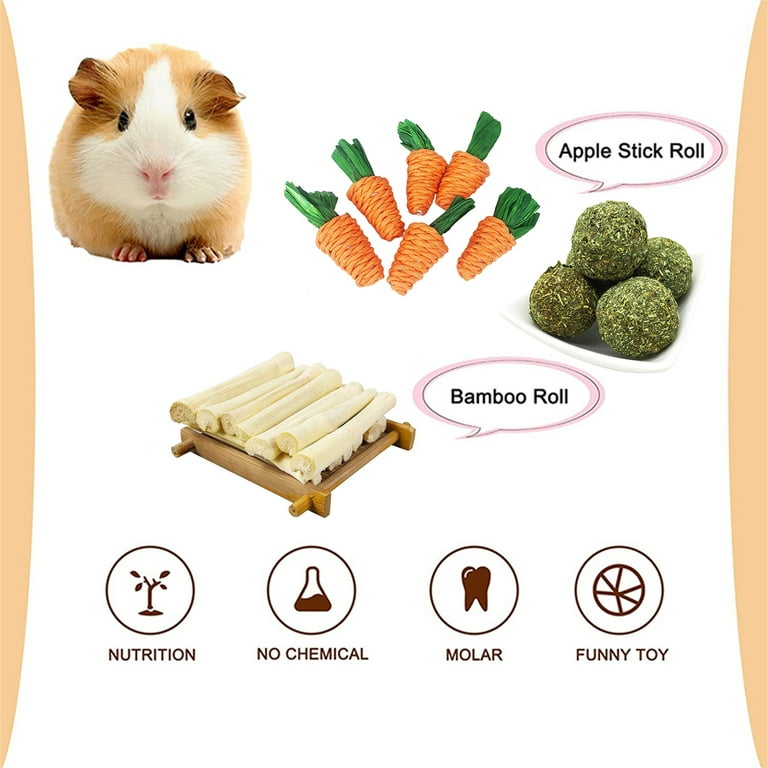 Handmade guinea pig toys 2025