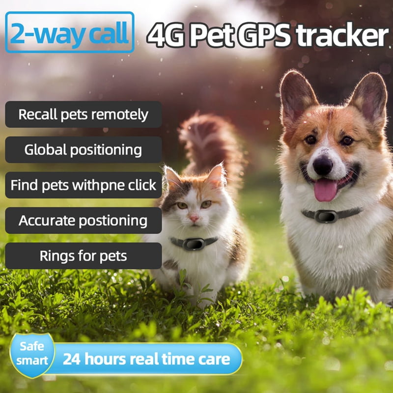 4G GPS Pet Tracker Voice Monitor Pet Dog Cats Gps Anti Loss Mini Tracker IP67 Waterproof GPS Locator Free APP,B,1 * 4G GPS Pet Tracker