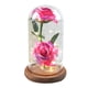 thumbnail image 2 of Xihbxyly Rosa Romántica de Cristal, Vidrio de Borosilicato Alto, Luces Led Alimentadas Por Usb, Base de Madera de Pino, Decoración para Bodas, Regalo Festivo, Ambiente Elegante, Tamaño 5.71X5.71X9.06, 2 of 5