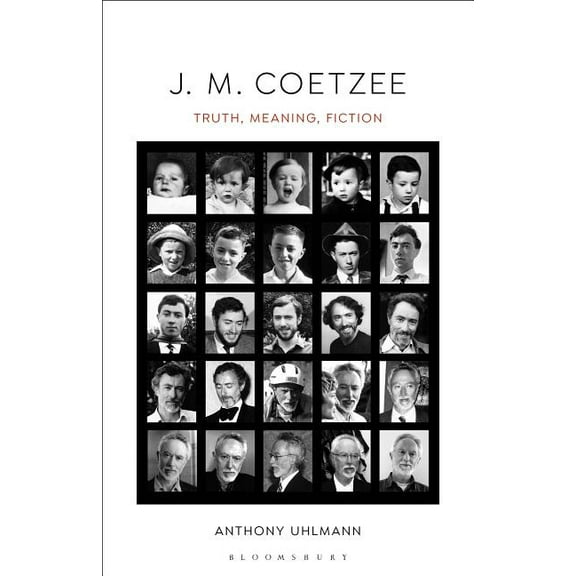 J. M. Coetzee: Truth, Meaning, Fiction, (Hardcover)