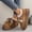 Brown, variant on Loafers for Women Fall Winter Plush Lined Fashion Strap Design Platform Flats Casual Outdoor Warm Round Toe Shoes