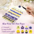 thumbnail image 2 of Mix Viola Tricolor,Pack of 48 Natural Dried Pressed Flowers,QZS Durable Real Dried Pressed Flowers for Jewelry Making,DIY Art Crafts, 2 of 5