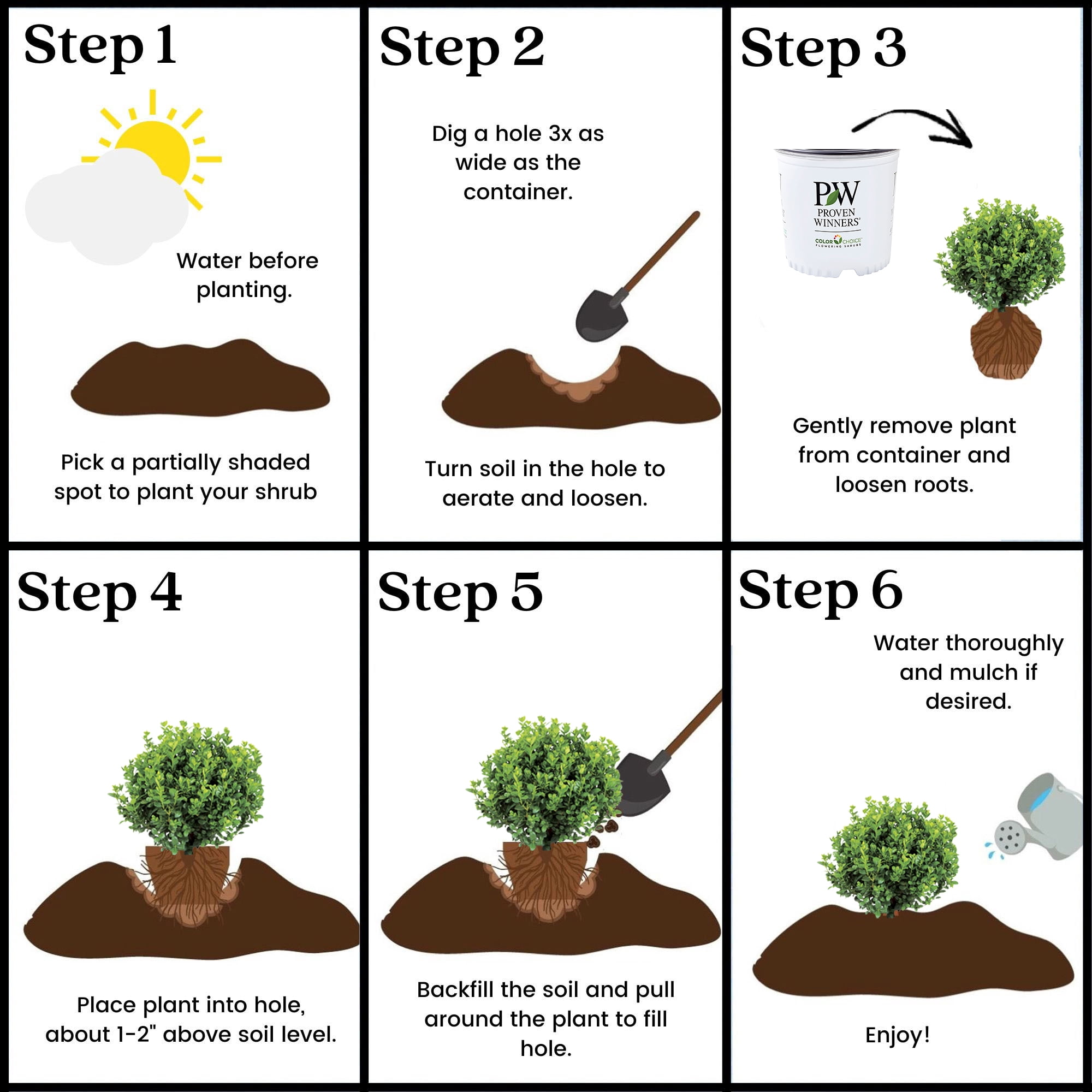 Proven Winners ColorChoice Neatball Boxwood Live Shrub (1 Gallon)