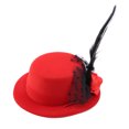 thumbnail image 4 of Sombreros de moda para mascotas, perros y gatos, adorables accesorios para la cabeza, gorras de plumas Prince-Chic rojas, 4 of 8