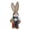 2026 decorations, variant on Easter Garden Decoration Handwoven Bunny Ornament, 35Cm (14-Inch) Peter Rabbit Figurine For Patio Yard, Home Decor, Birthday Gift, Easter Party Centerpiece