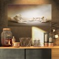thumbnail image 1 of Design Art - White Lion Family, 1 of 3