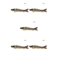 thumbnail image 2 of Naiovety Cebo de pesca Wobblers cebo señuelo manivela cebo pesca multiseccional hundimiento Swimbait con garra Barb gancho herramientas de Type5 NO5, 2 of 6