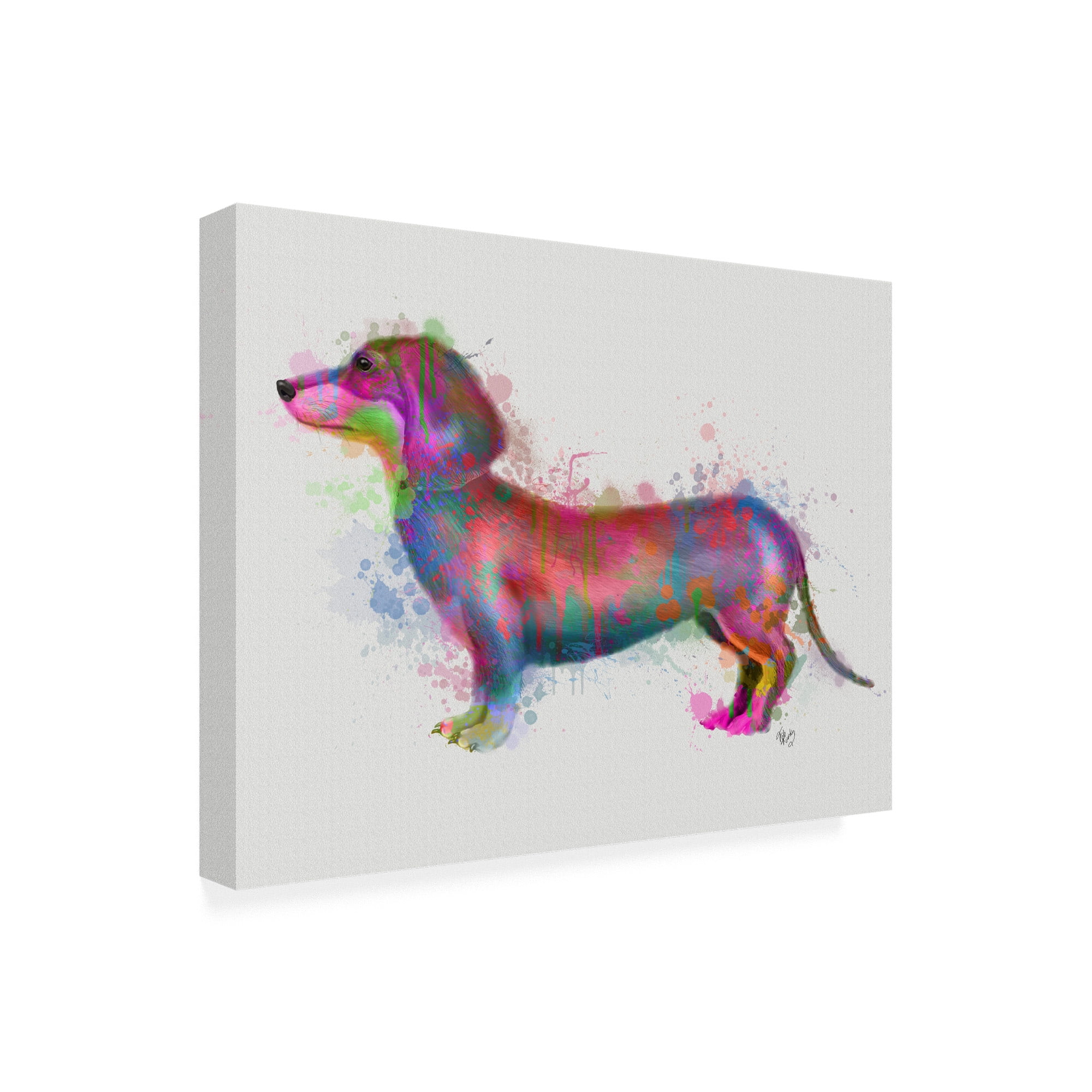 Trademark Fine Art 'Dachshund Rainbow Splash 1' Canvas Art by Fab Funky