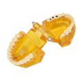 thumbnail image 5 of Modelo De Dientes Dentales, Modelo Patológico Dental Estructura Clara Modelo De Exhibición De Dientes Educativos Amarillo Transparente, 5 of 5