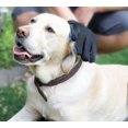 thumbnail image 5 of Guante para el pelo de perros y gatos – Guante de masaje para mascotas – Perfecto para perros y gatos de pelo largo y corto (azul cielo), 5 of 5