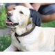 thumbnail image 5 of Guante para el pelo de perros y gatos – Guante de masaje para mascotas – Perfecto para perros y gatos de pelo largo y corto (azul cielo), 5 of 5