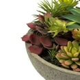 thumbnail image 2 of Vickerman FH182801 Pot de Succulentes Mélangé en Béton de 6 Po, 2 of 5