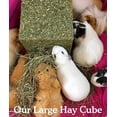 thumbnail image 6 of Rosewood  I Love Hay Cube Medium Small Animal Treats Case of 6, 6 of 6