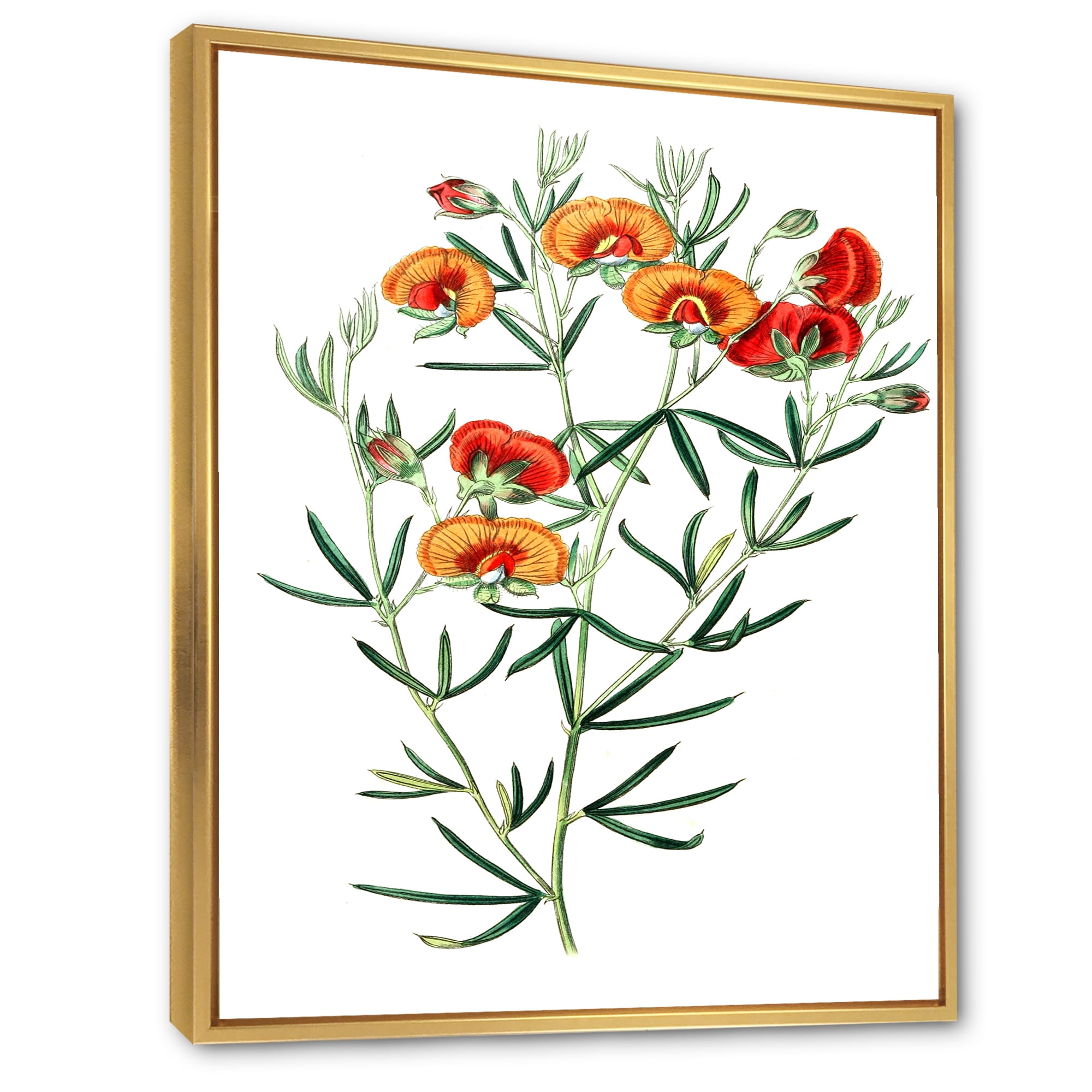 Designart 'Ancient American Flora VIII' Traditional Framed Canvas Wall Art Print