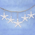 thumbnail image 2 of 30 piezas de estrella de mar de dedo de lápiz blanco cremoso YONGSHENG, 2 of 5