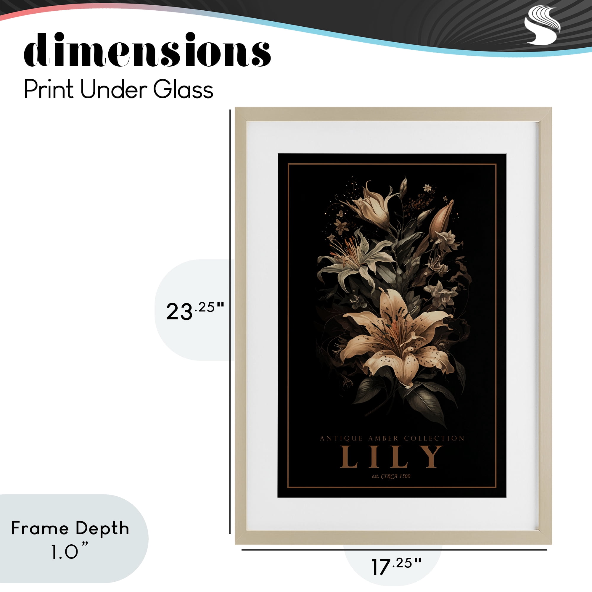 Stupell Industries Antique Lily Light Birch Framed Print Under Glass, design by Chris Giampietro