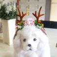 thumbnail image 4 of OULII Reindeer Dog Costume Multi Pet Headwear for Photo Shoot Events 1Pcs, 4 of 6