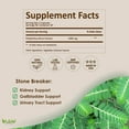 thumbnail image 3 of Stone Breaker Chanca Piedra Extract 1000mg - Urinary Tract and Kidney Support - 100 Vegetarian Capsules, 3 of 8