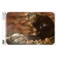 thumbnail image 1 of Beaver by the River Home Business Office Sign, 1 of 4
