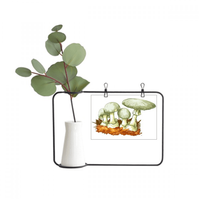 Deliciosos champiñones frescos ilustran Marco De Metal Florero De Cerámica Decoración