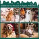 thumbnail image 5 of Medias navideñas con monograma de felpa súper suave de 20 pulgadas, medias personalizadas rústicas de Navidad, decoración con letras bordadas para decoración, 5 of 5