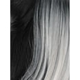 thumbnail image 3 of New Born Free Synthetic Magic Lace Fake Scalp 13x4 Wig - FS134R ROMANTIC WAVE (QX/PLATINUM), 3 of 3