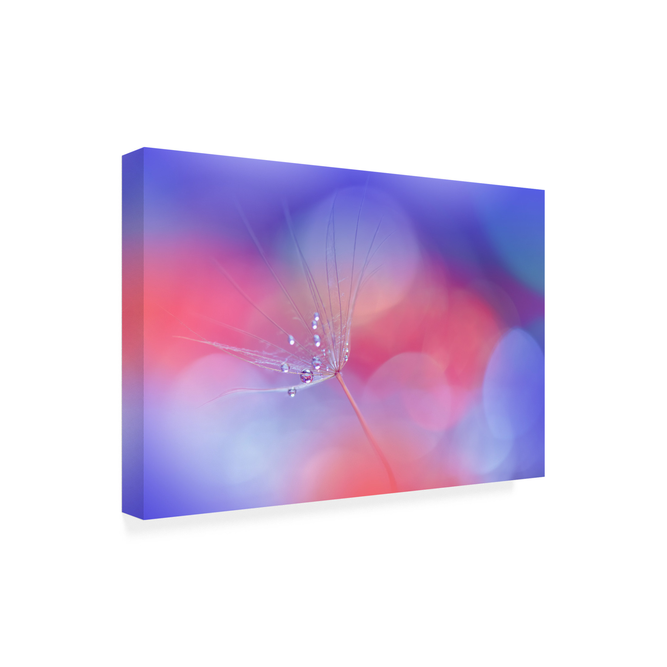 Trademark Fine Art Juliana Nan Creation Of Life..Ii Canvas Wall Art