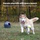 thumbnail image 2 of Juego de búsqueda interactivo PetSafe con lanzador de bolas automático, 2 of 6
