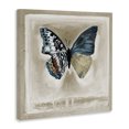 thumbnail image 2 of Stupell Industries Modern Asymmetrical Butterfly Neutral Border Canvas Art, 36 x 36, by Stacy D'Aguiar, 2 of 7