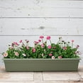 thumbnail image 4 of Root & Vessel Countryside Flower Box, Sage, 36", 4 of 6