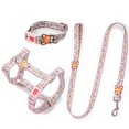 thumbnail image 2 of Dog Harness Vest Training For Dogs Collar For Cats Pet Leash In Harness And Collar Walking Training Pets Dogs Accessories (Colorflu Dog Harness-S, 2 of 9