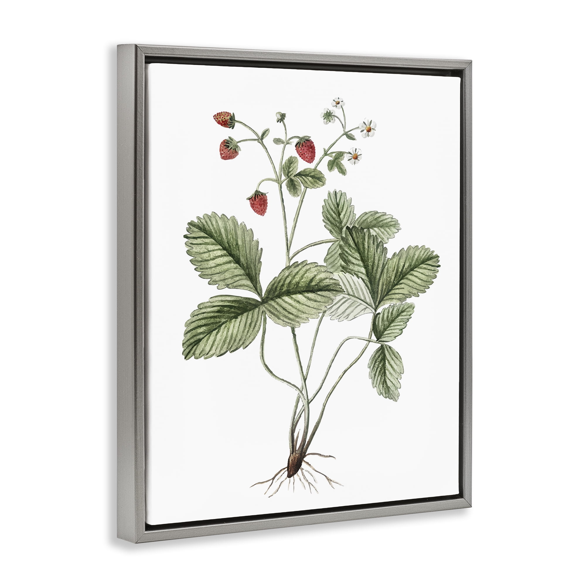 Stupell Industries Budding Strawberries Study Food & Beverage Painting Gray Floater Framed Art Print Wall Art, 25 x 31