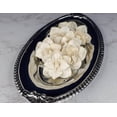 thumbnail image 3 of Sola Wood Flowers - Raw 3" Nova (10 Pack), 3 of 4