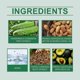 thumbnail image 4 of Anti Nail Biting Nail Polish, Stop Nail Biting, Stop Biting Nails, Nail Biting Prevention, Safe Natural Plant Extract, 4 of 5