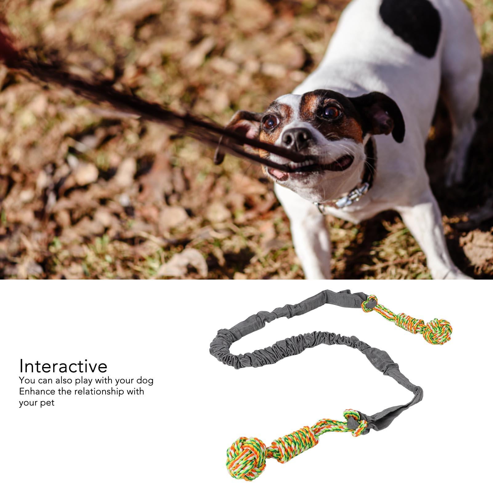 BIMZUC Durable Dog Tug Rope Toy with Bite‑Resistant Hollow Webbing, Teeth‑Grinding Rope Ball, Interactive Hanging Play for Indoor & Outdoor Use
