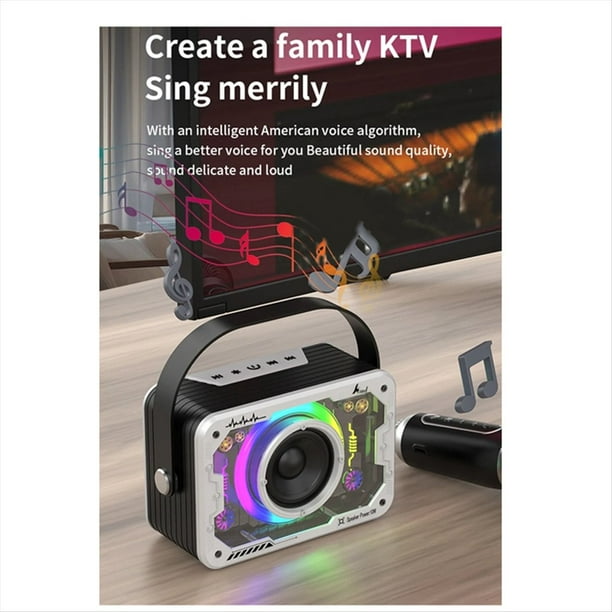 Altavoz Bluetooth para Cantar en Casa Al Aire Libre, Altavoz de Karaoke InaláMbrico de Graves PortáTil, MicróFono, Juego de Ktv para el Hogar-Gris