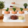 thumbnail image 3 of Bocal à Épices en Verre en Forme de Cactus avec Couvercle Étanche, Récipient à Épices Transparent pour Sel, Sucre et Épices, Compact pour Cuisine et Extérieur, 3 of 6