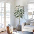thumbnail image 5 of Artificial Tree Plant Eucalyptus Tree 5 ft Tall, Modern Large Fake Plant Decor in Pot for Indoor Outdoor,Home Office Ideal Housewares Gift Decoration, Eucalyptus Tree, 5 of 6