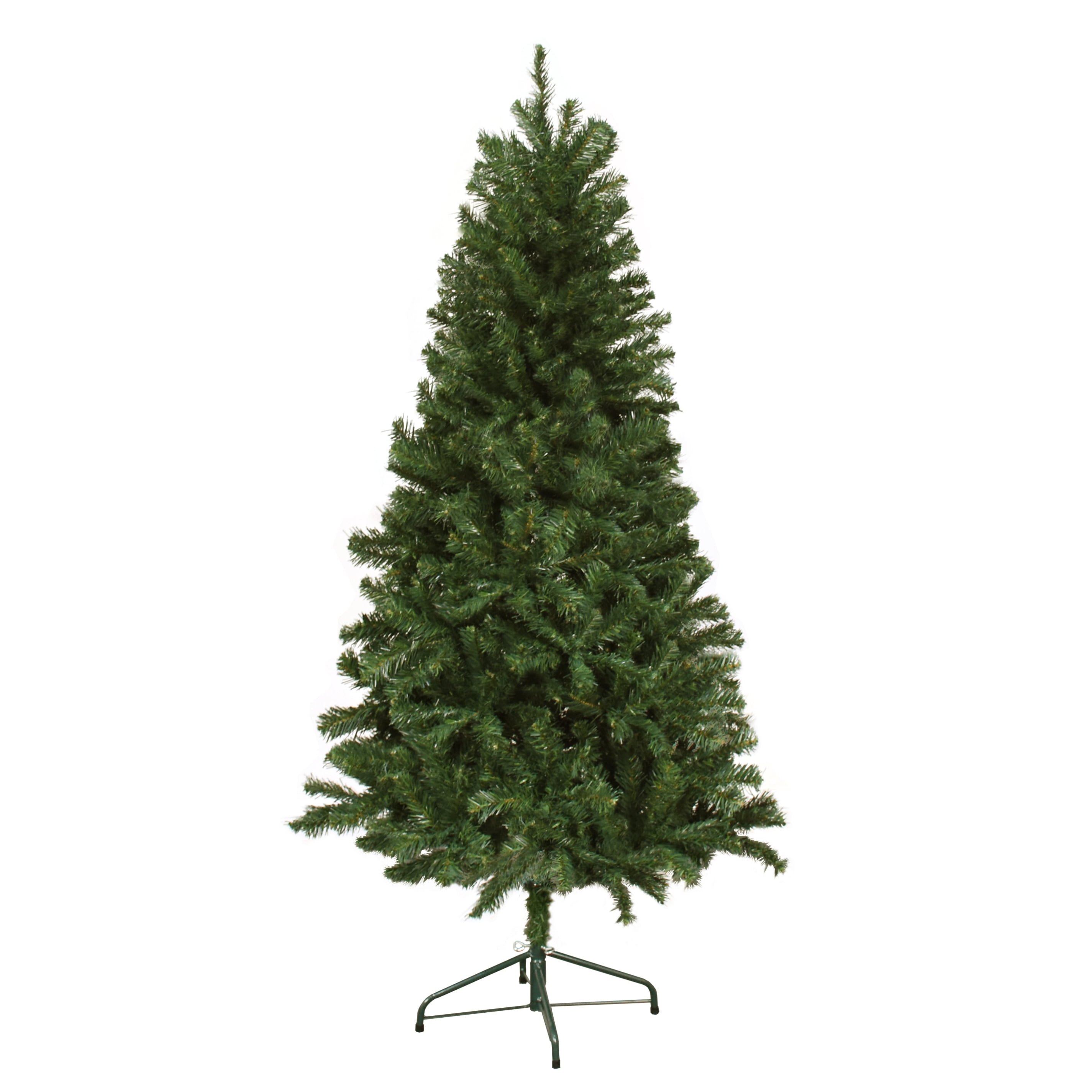 6' Douglas fir Christmas Tree with stand