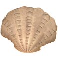 thumbnail image 1 of Light Garden 480731 - 14" Small Standing Scallop Table Lamp (SCALLOP LAMP, SMALL STANDING 14" X 8"), 1 of 1