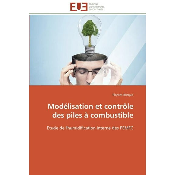 Omn.Univ.Europ.: Modélisation Et Contrôle Des Piles À Combustible (Paperback)