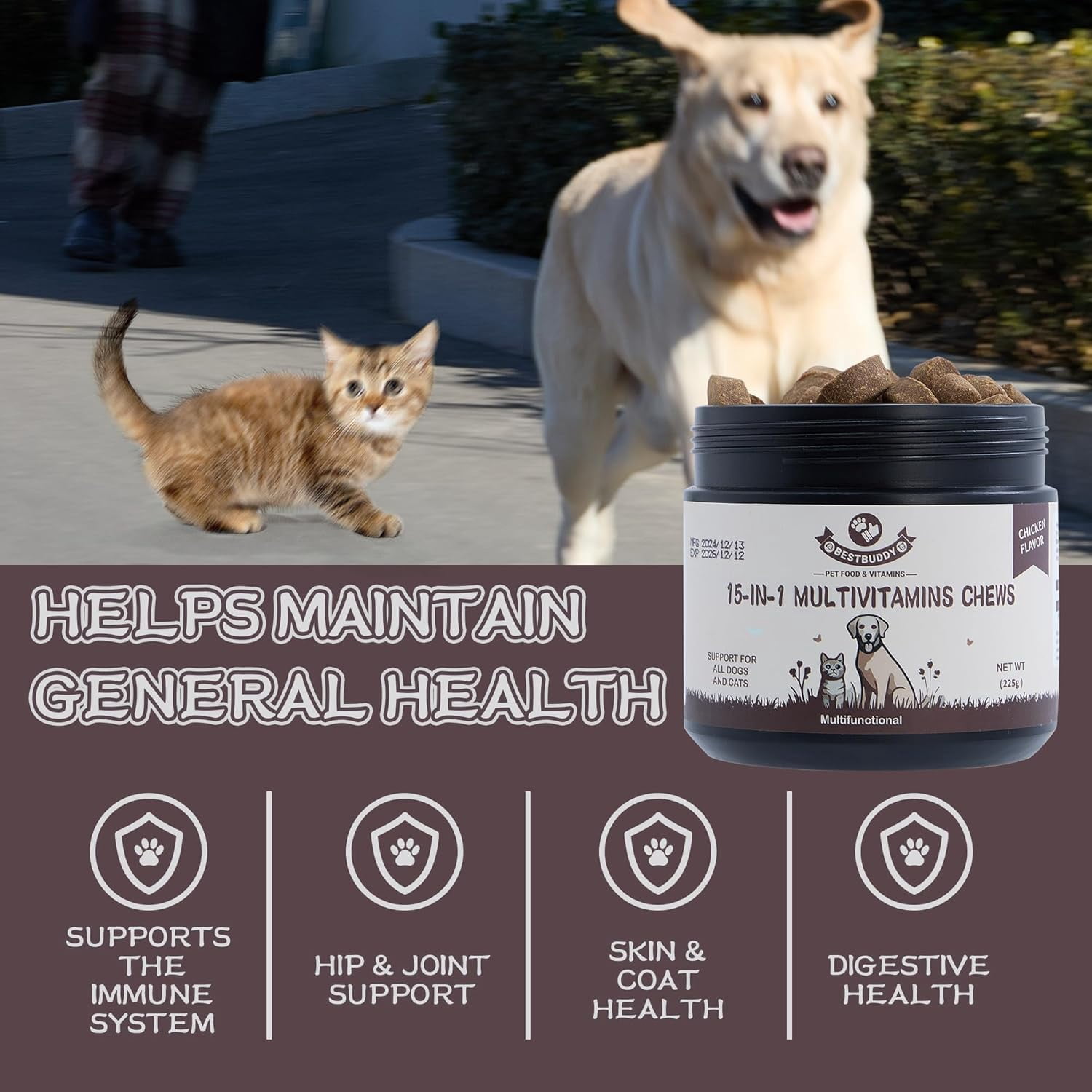 Best Buddy Multivitamin 15-in-1 Treats for Dogs, Complete Health Supplement Joint Support + Digestive Enzymes, Grain Free Dog Vitamins and Supplements for Skin & Coat (Chicken, 225g)