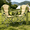 Green, variant on Oversized Camping Chair, Folding Chairs with Padded Back and Armrest, Steel Frame with Cooler Bag, Storage Netting Cup Holder, Black