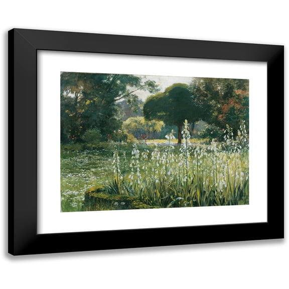 Hugo Charlemont 14x11 Black Modern Framed Museum Art Print Titled - Sommerhyazinthen (Galtonien) Gladiolus (1901)